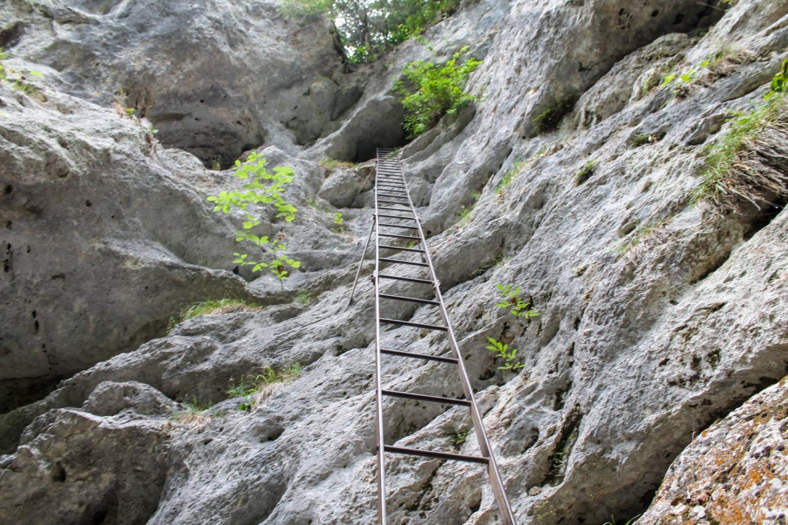 Najvyšší rebrík na Rudolf - Decker - Steig