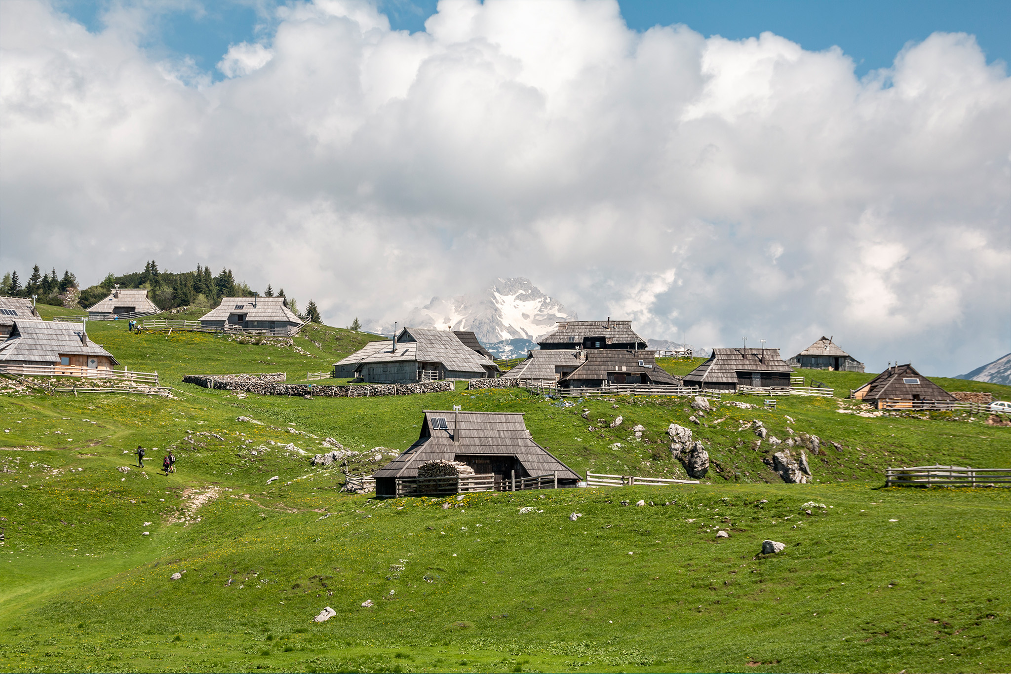 Velika planina