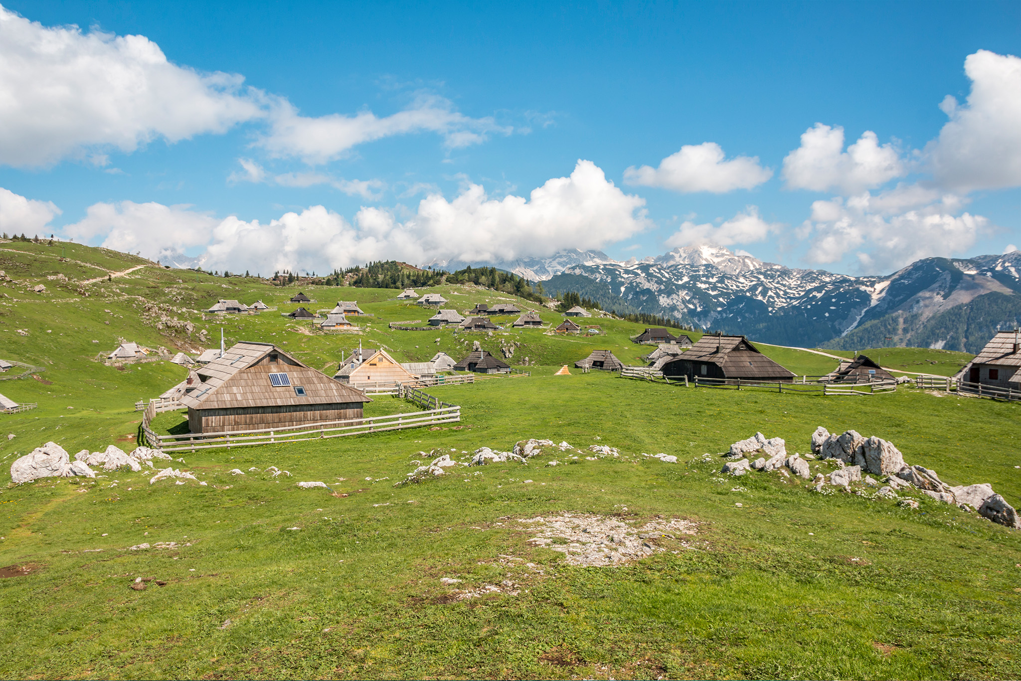 Velika planina
