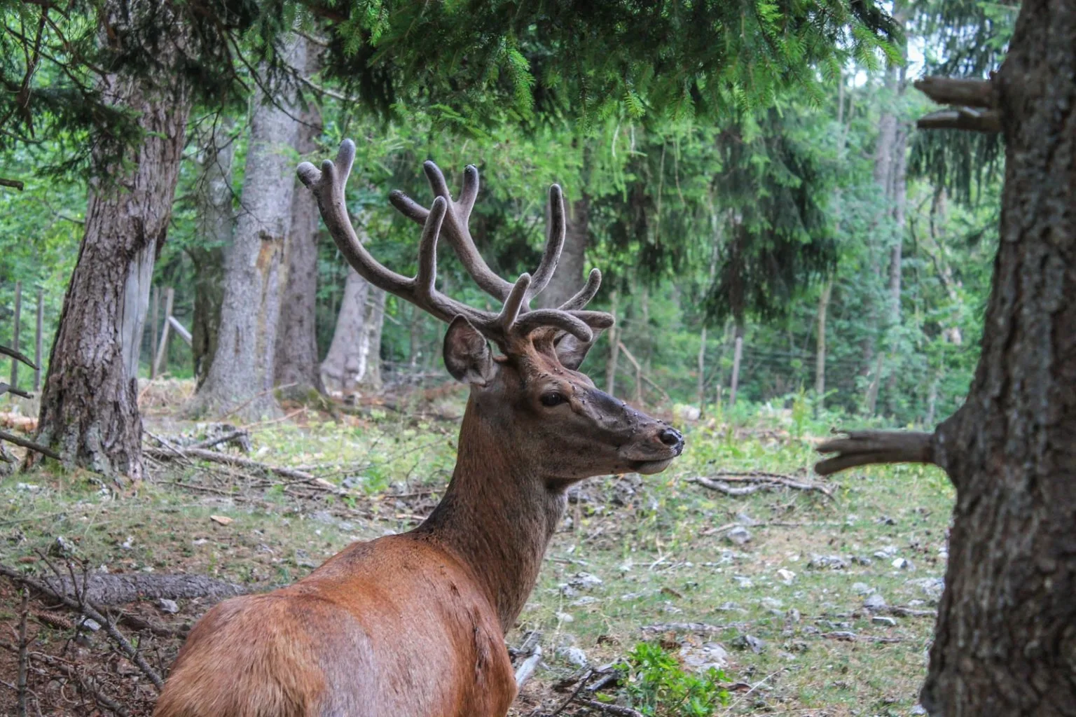 Denník nádejného dobrodruha, 3. záznam: Keď počasie nedopraje