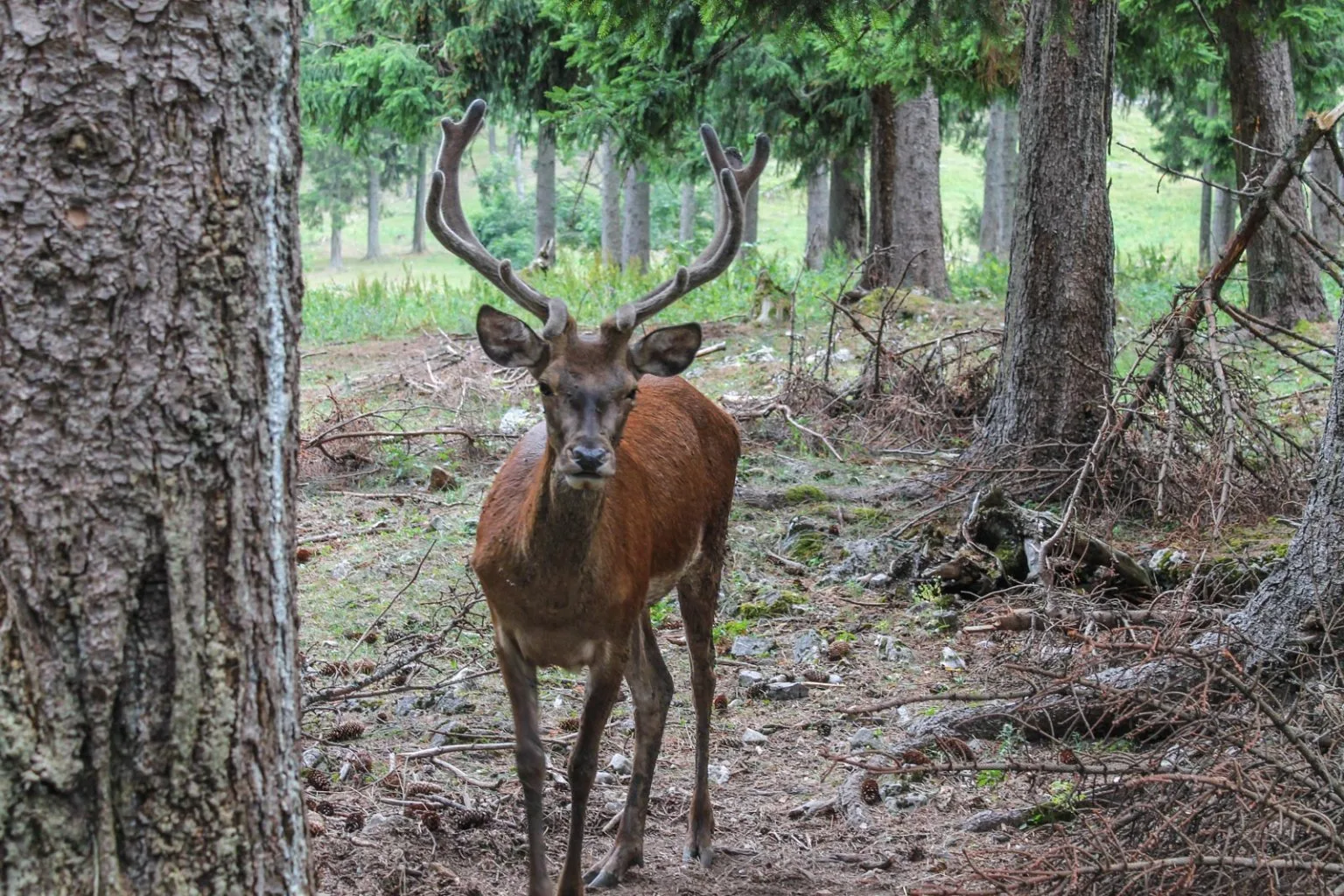 Denník nádejného dobrodruha, 3. záznam: Keď počasie nedopraje