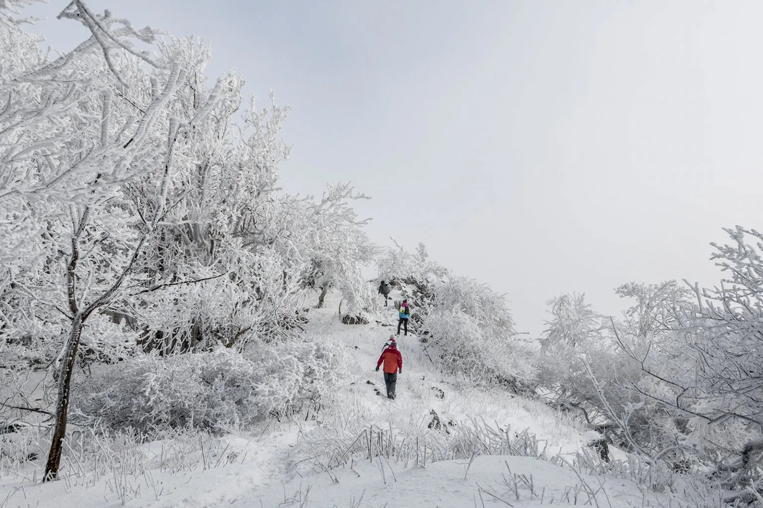 Vápenná (Roštún), Malé Karpaty