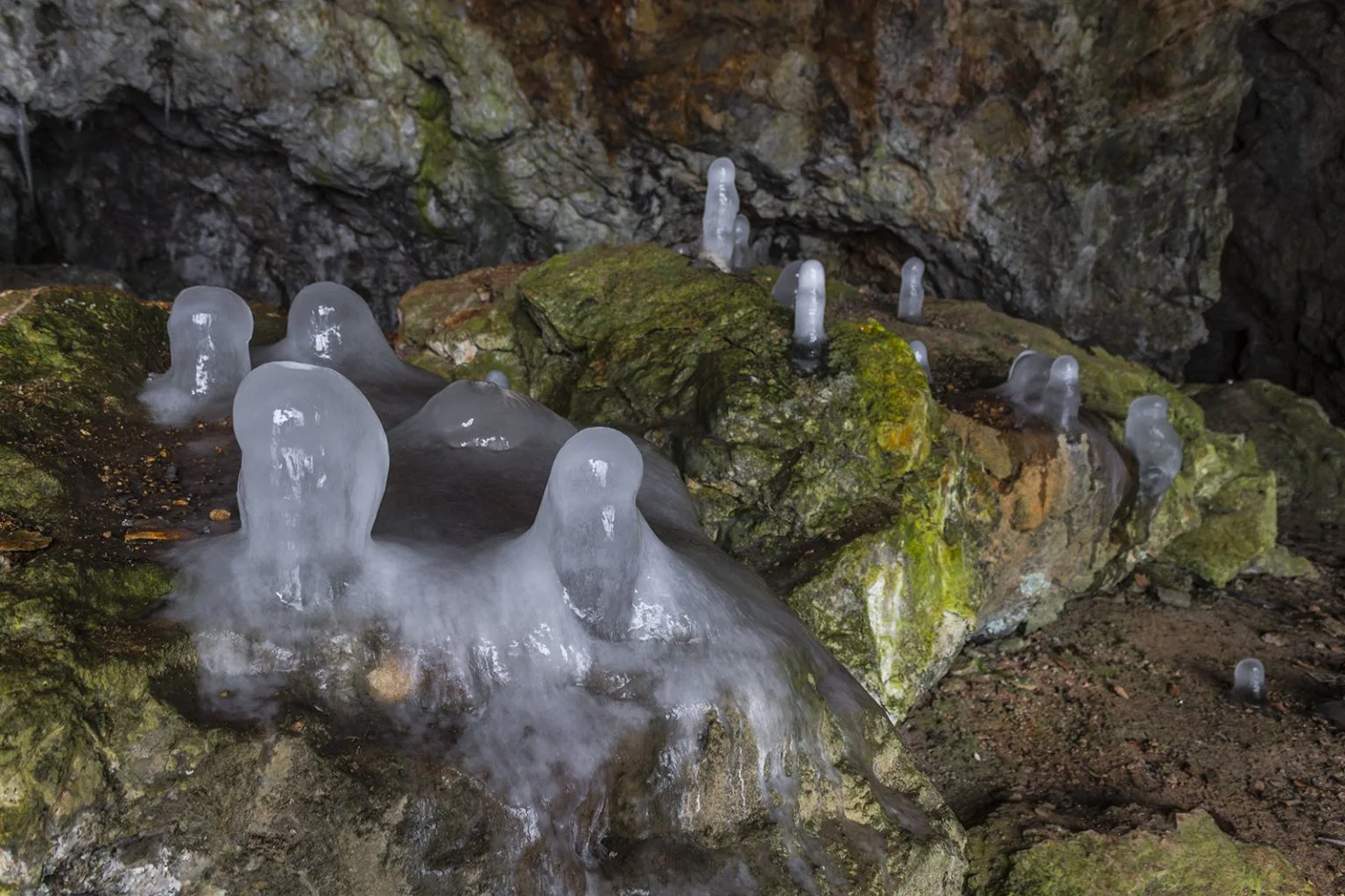 Cervenica, Malé Karpaty