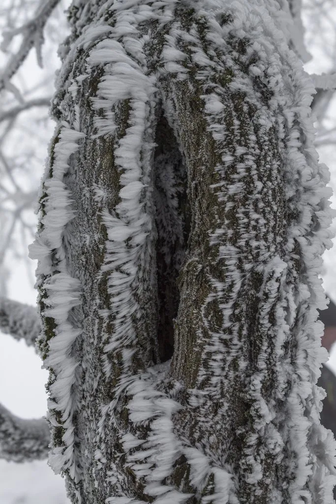 Vápenná (Roštún), Malé Karpaty