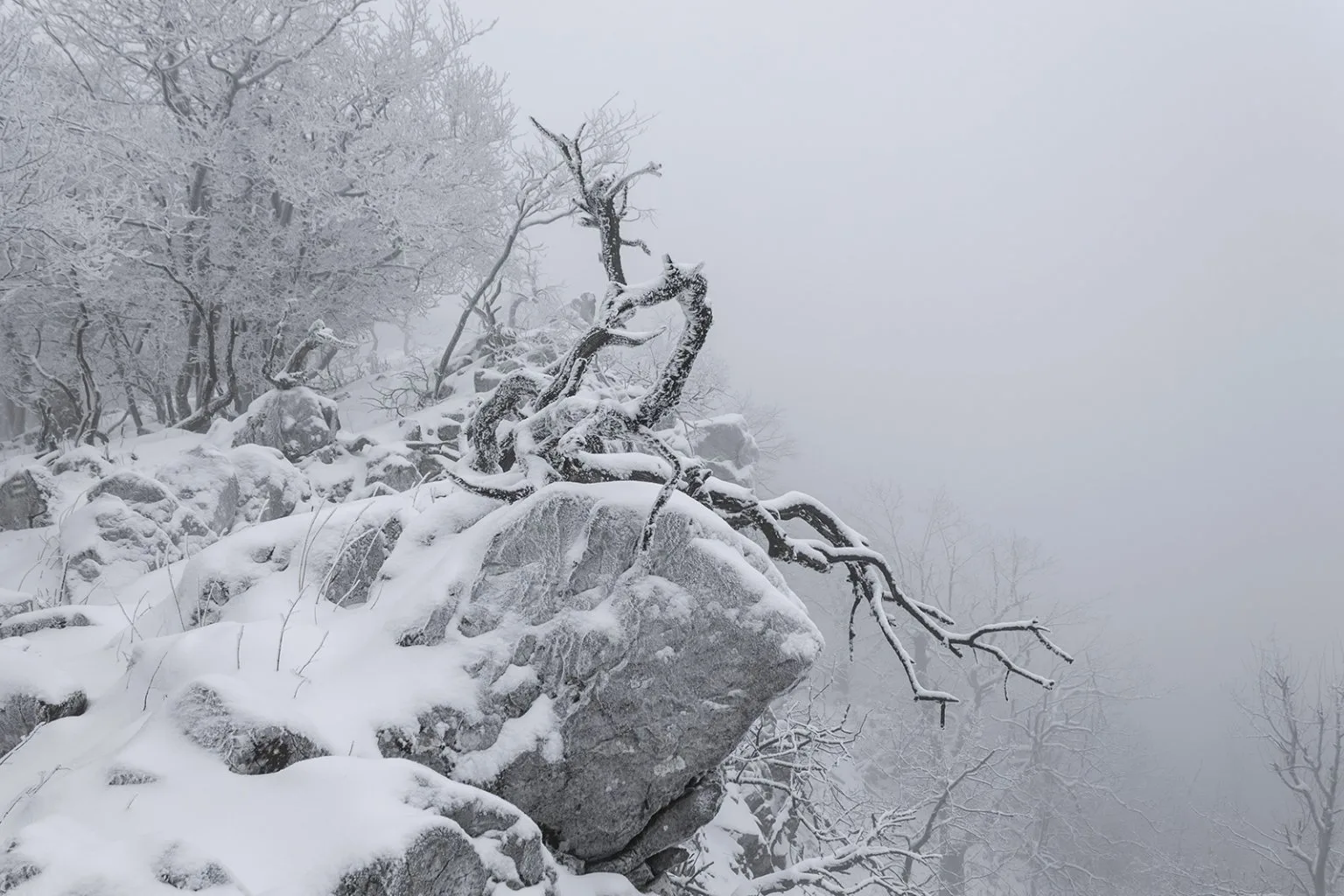 Vápenná (Roštún), Malé Karpaty