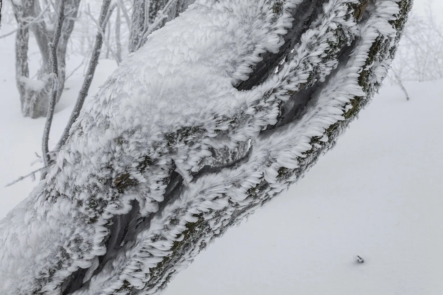 Vápenná (Roštún), Malé Karpaty