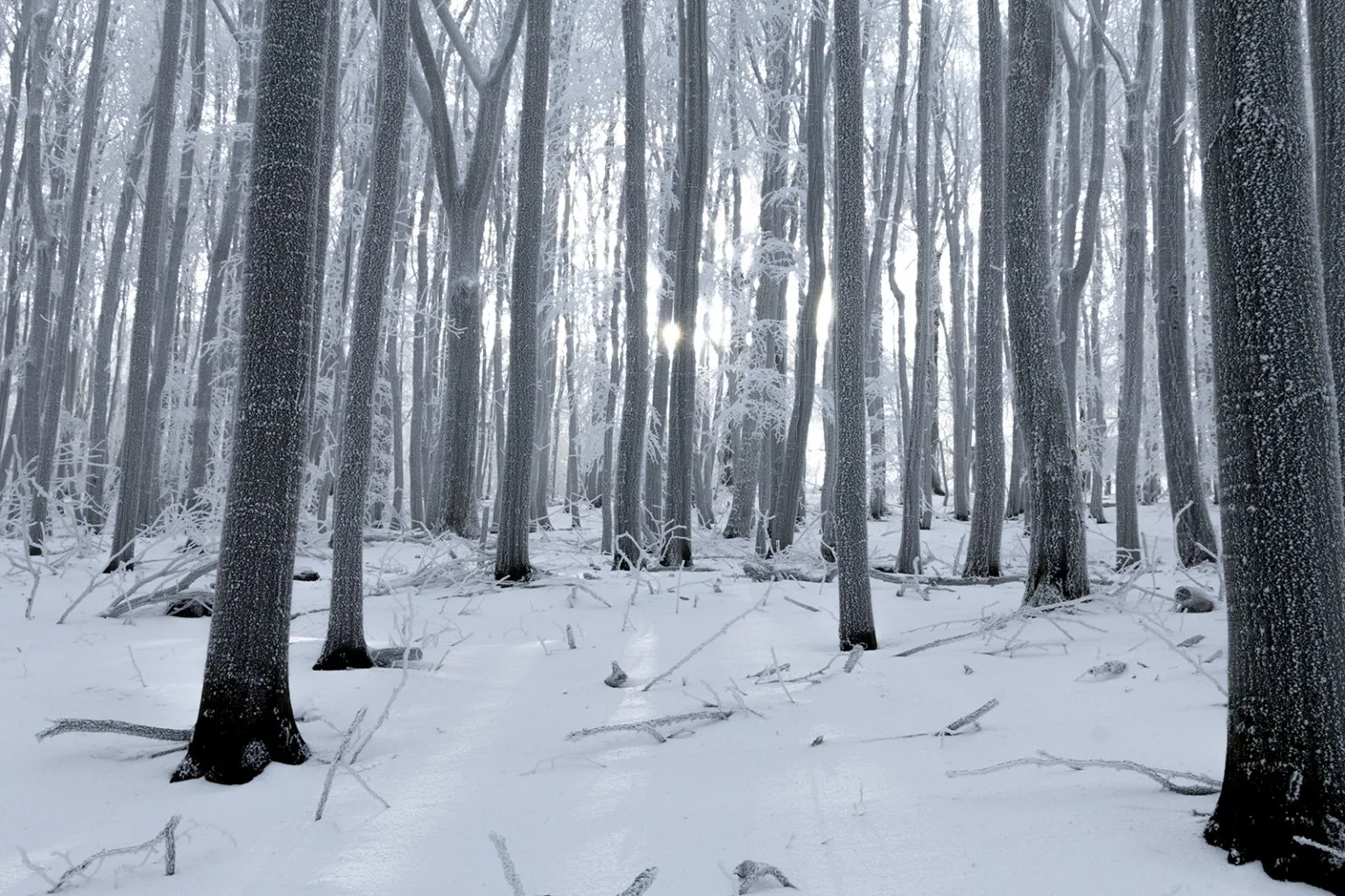 Vápenná (Roštún), Malé Karpaty