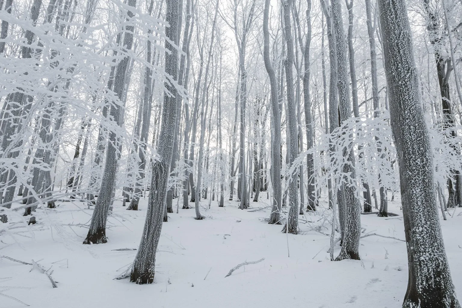 Vápenná (Roštún), Malé Karpaty