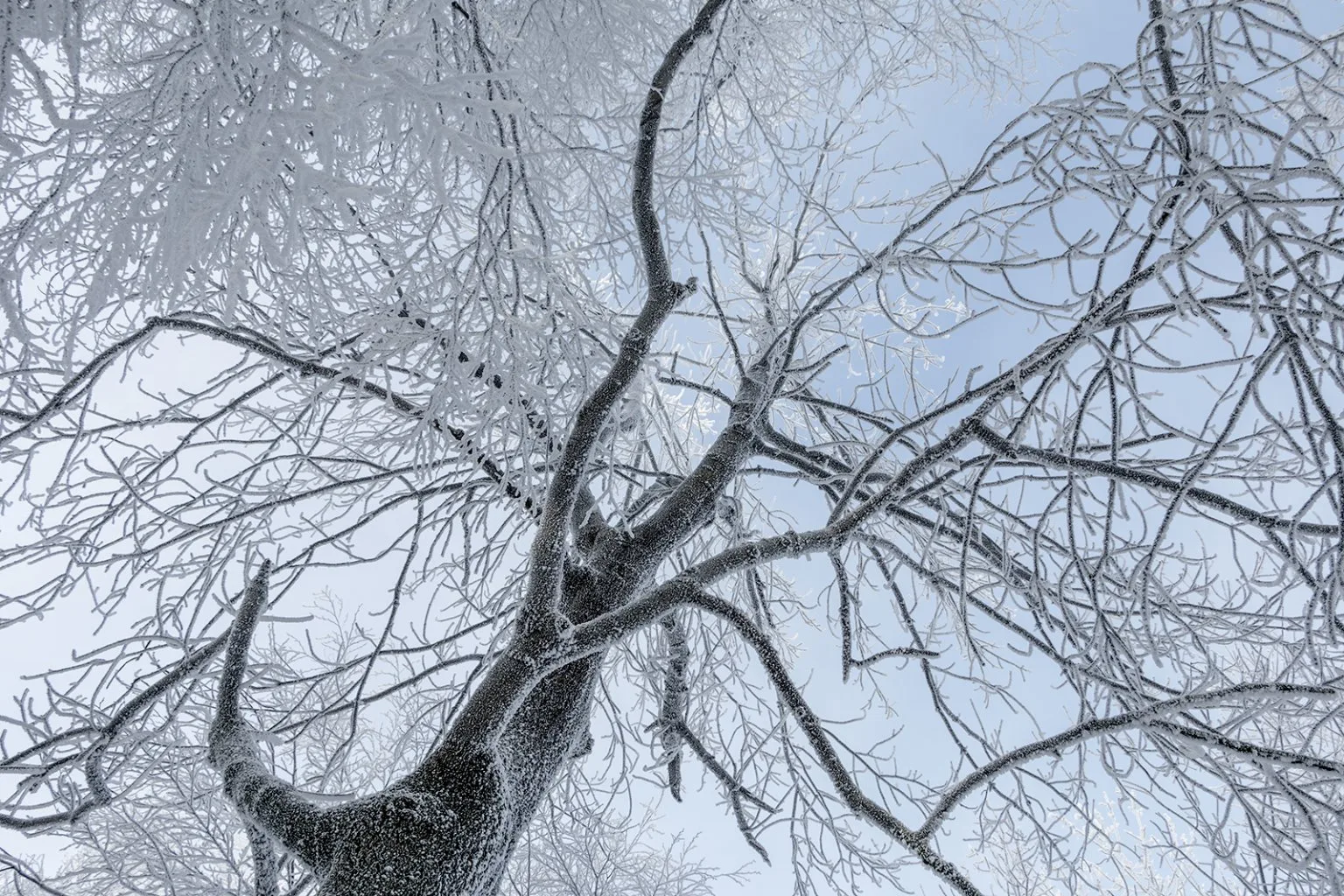 Vápenná (Roštún), Malé Karpaty