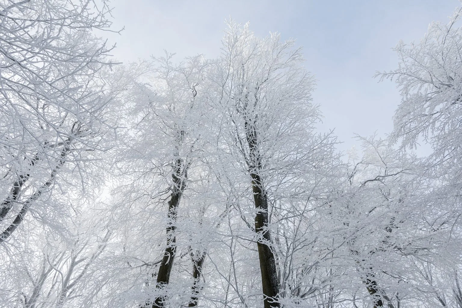 Vápenná (Roštún), Malé Karpaty