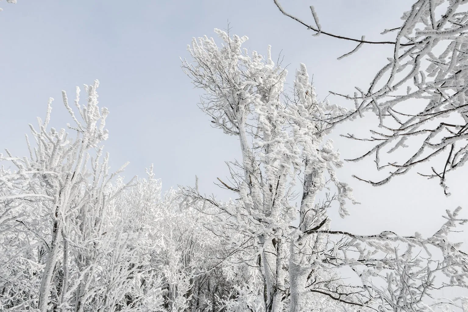 Vápenná (Roštún), Malé Karpaty