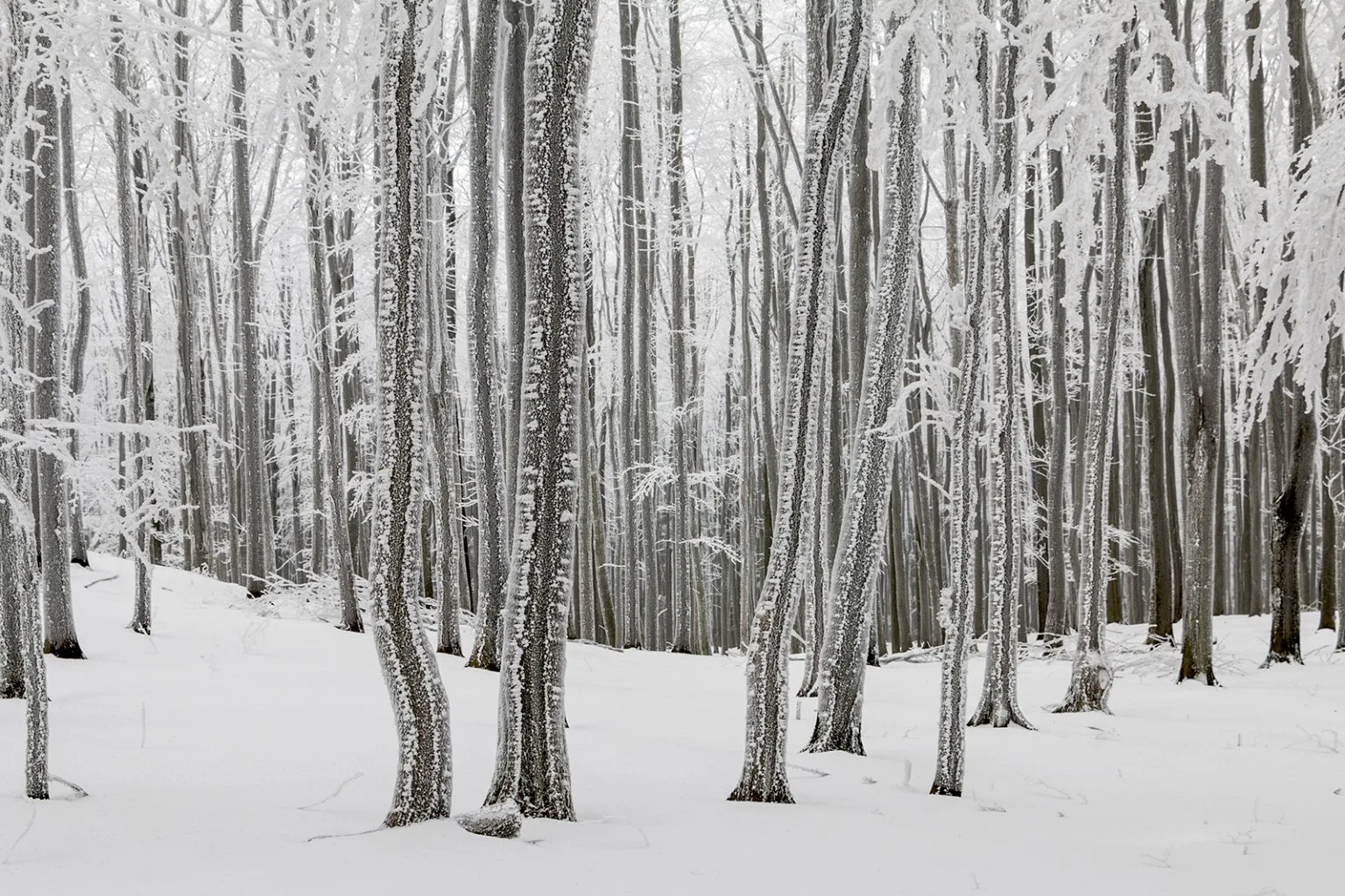 Vápenná (Roštún), Malé Karpaty