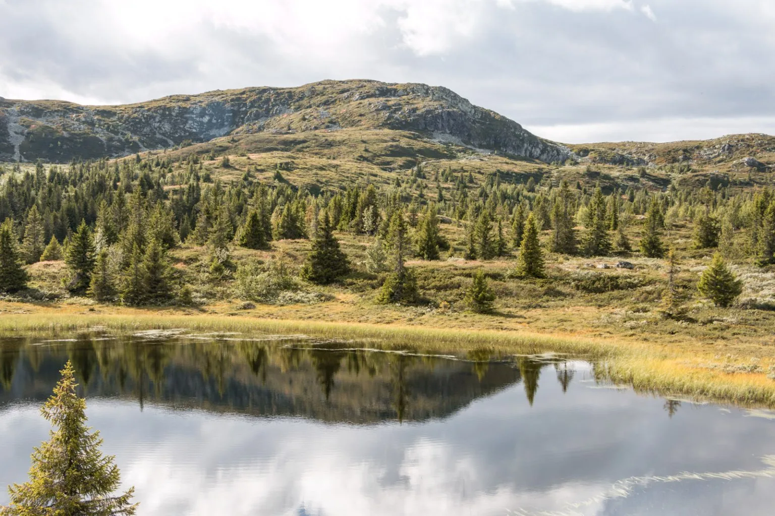 Typický nórsky fjell