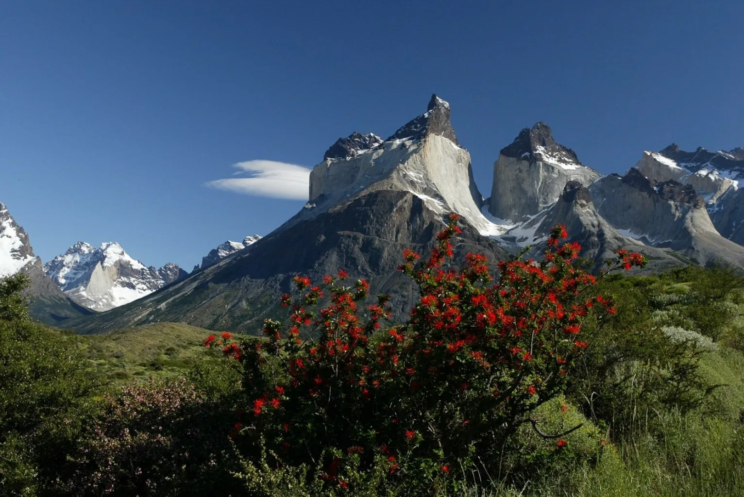 Torres del Paine