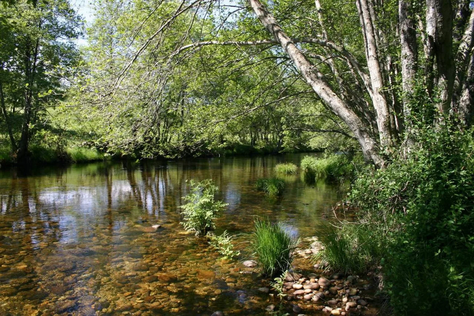 Sierra de Gredos