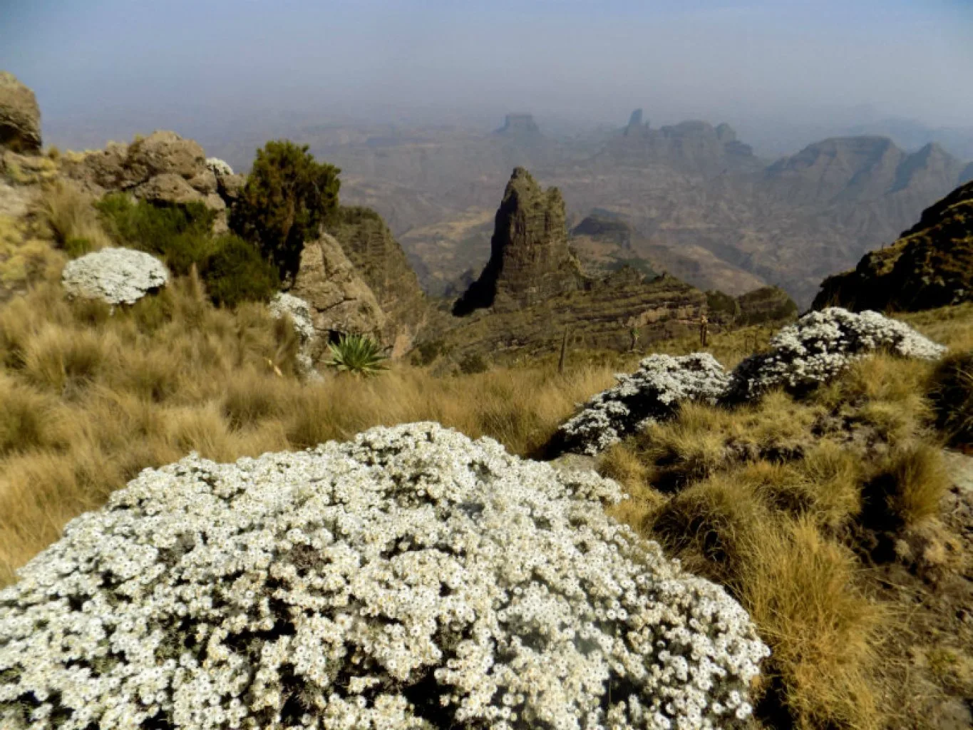 Simien Mountains National Park