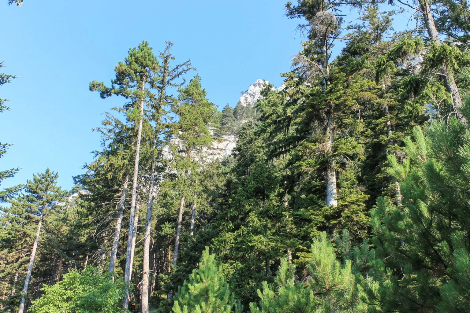 Denník nádejného dobrodruha, 5. záznam. Návrat na Hohe Wand