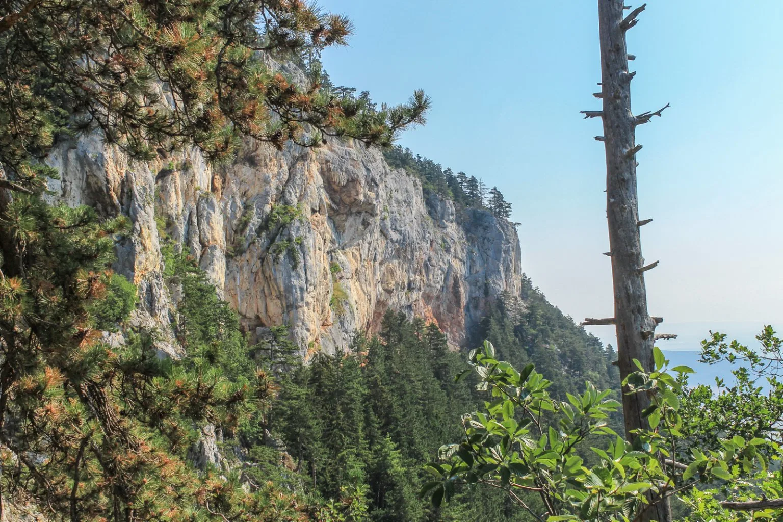 Denník nádejného dobrodruha, 5. záznam. Návrat na Hohe Wand