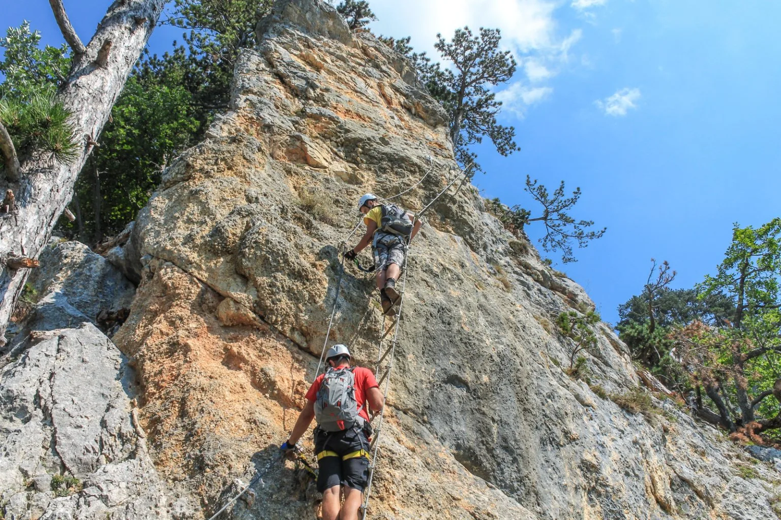 Denník nádejného dobrodruha, 5. záznam. Návrat na Hohe Wand
