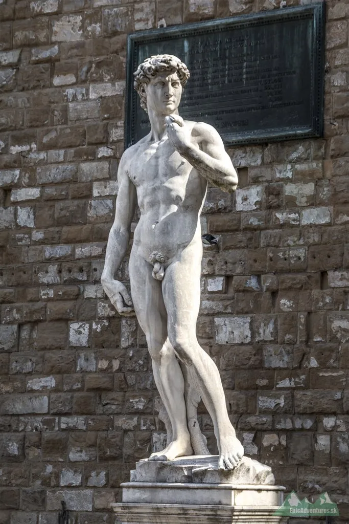 Piazza della Signoria, David