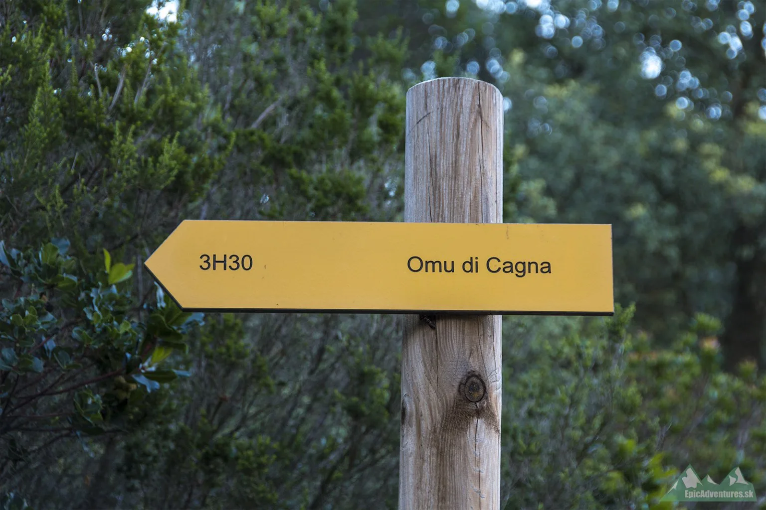 Uomo di Cagna, Giannuccio