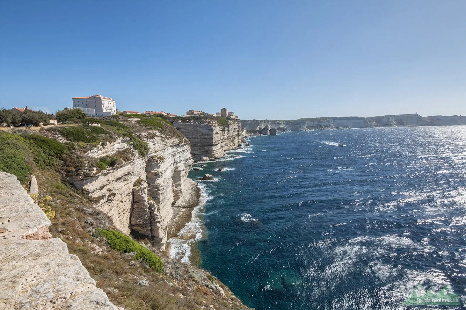 Bonifacio