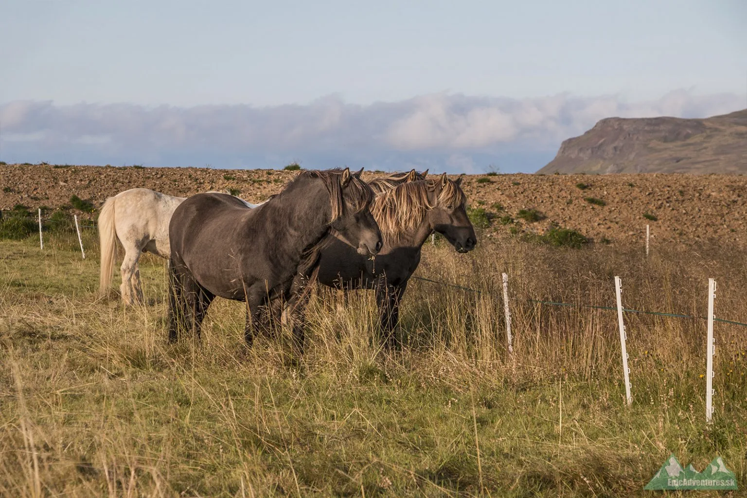 Pri západe slnka v meste Borgarfjörður Eystri     Zdroj: epicadventures.sk