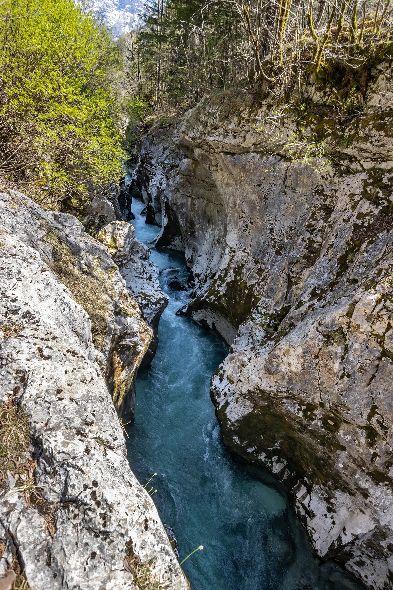 Velika Korita Soče