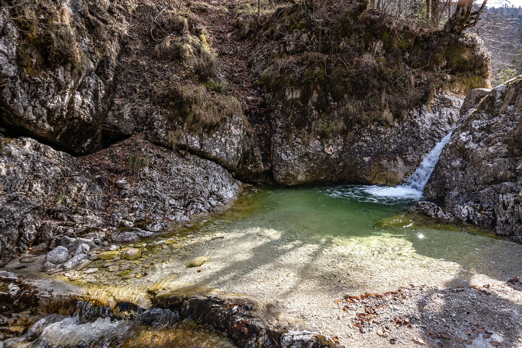 Smaragdno oko