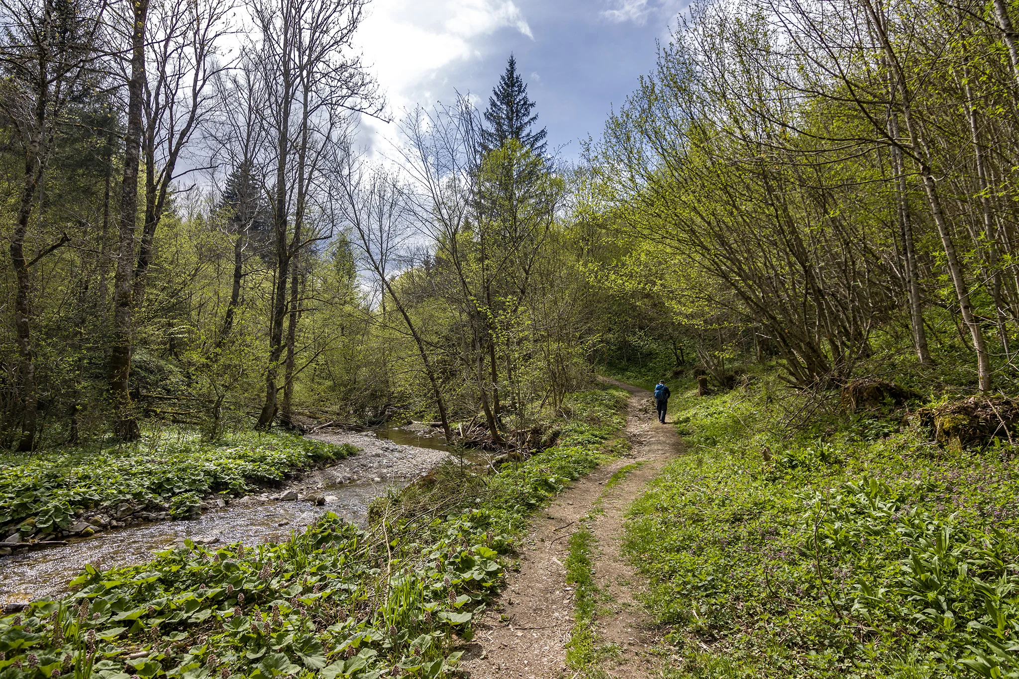 Trefflingfall