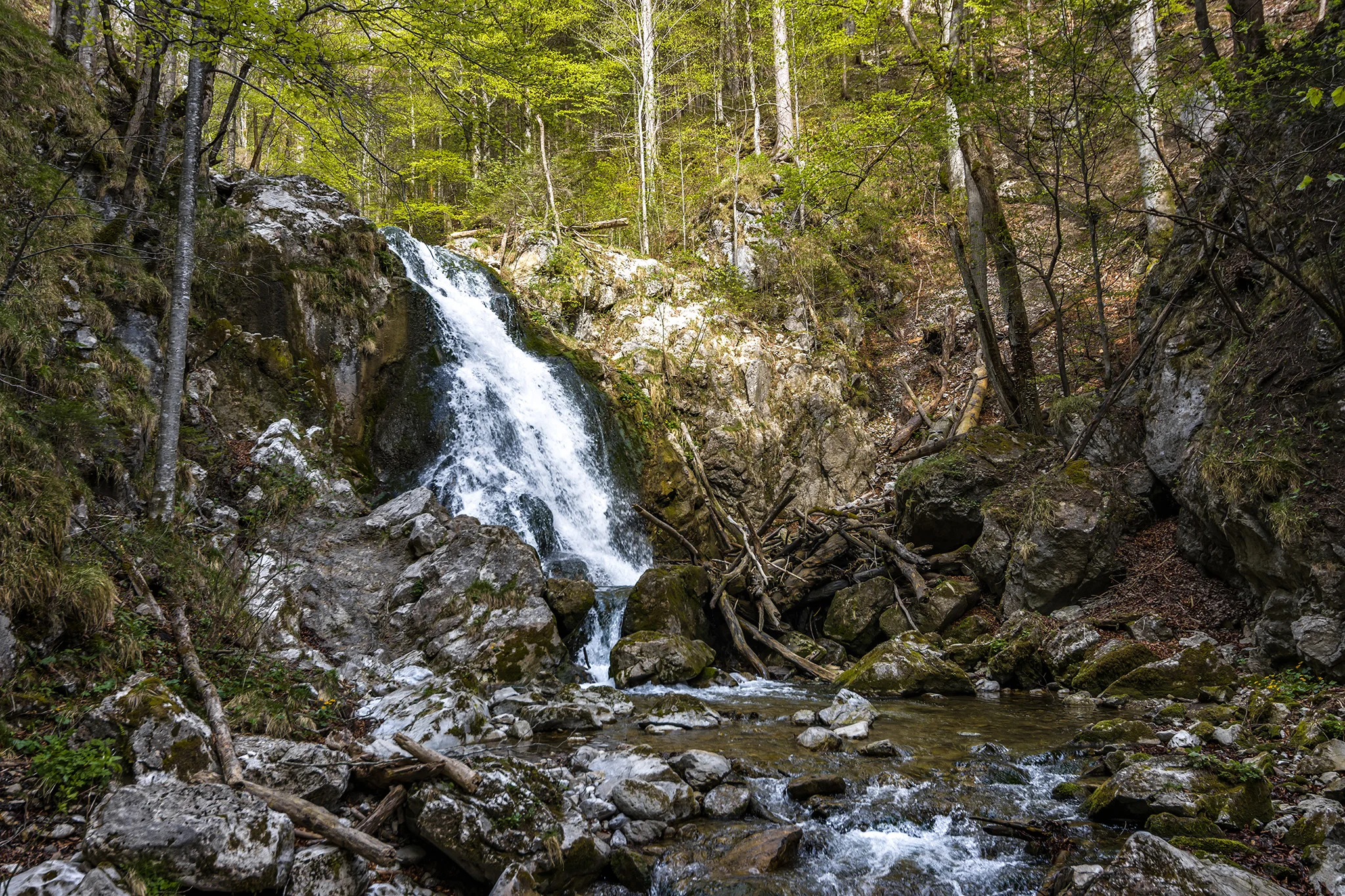 Trefflingfall