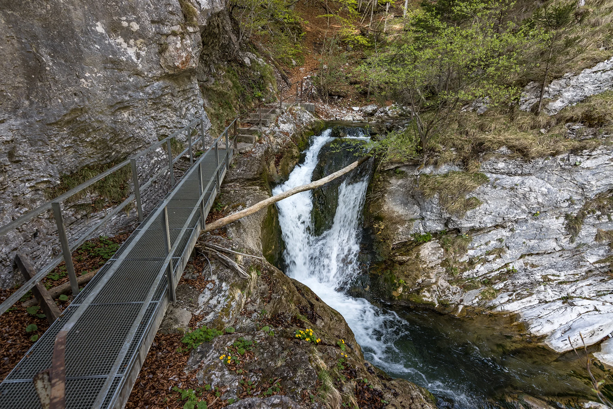 Trefflingfall