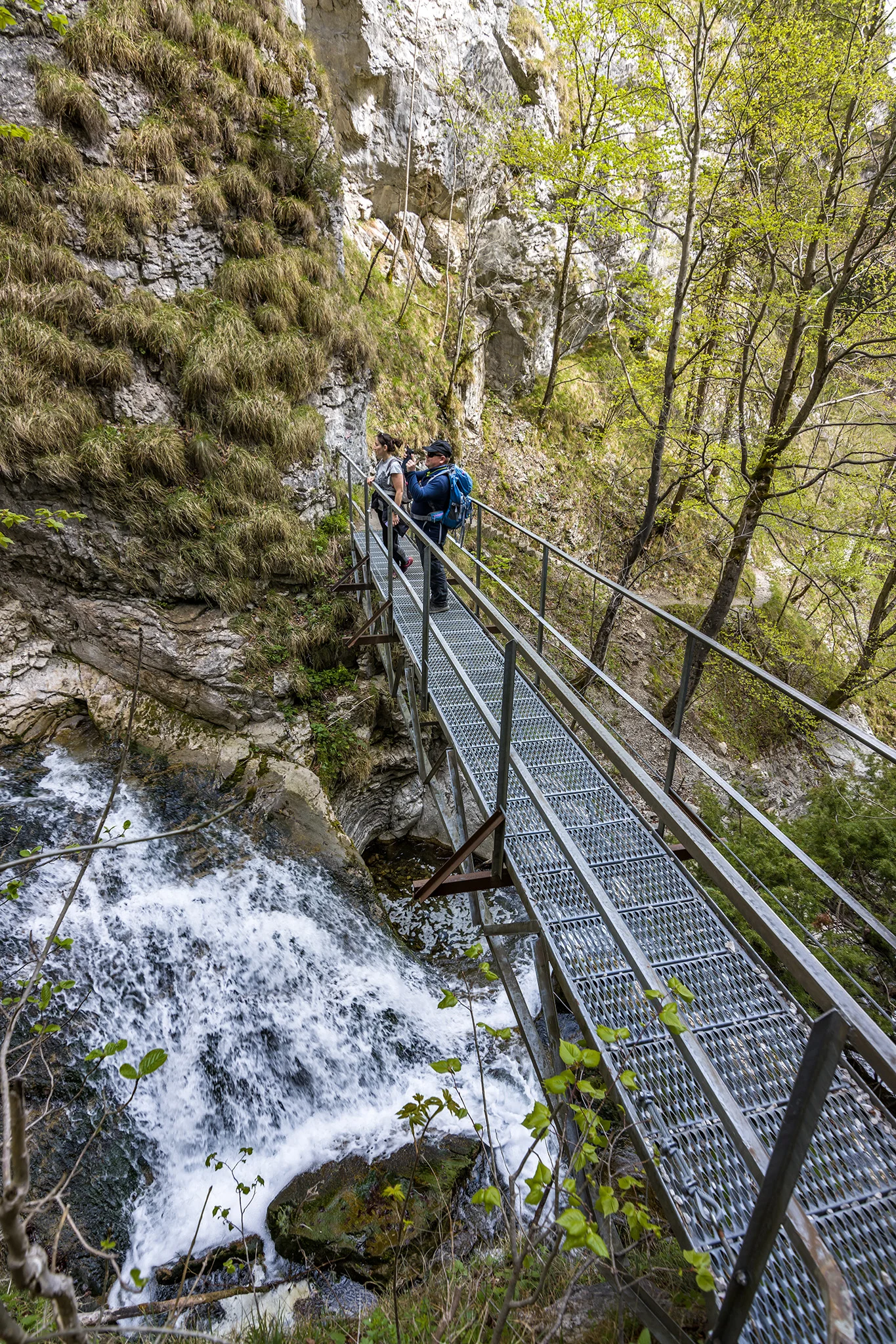 Trefflingfall