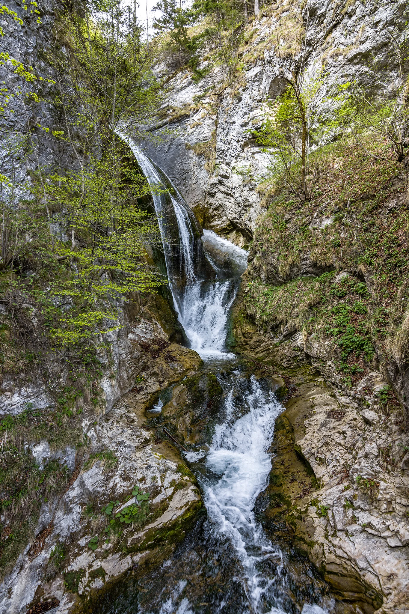 Trefflingfall