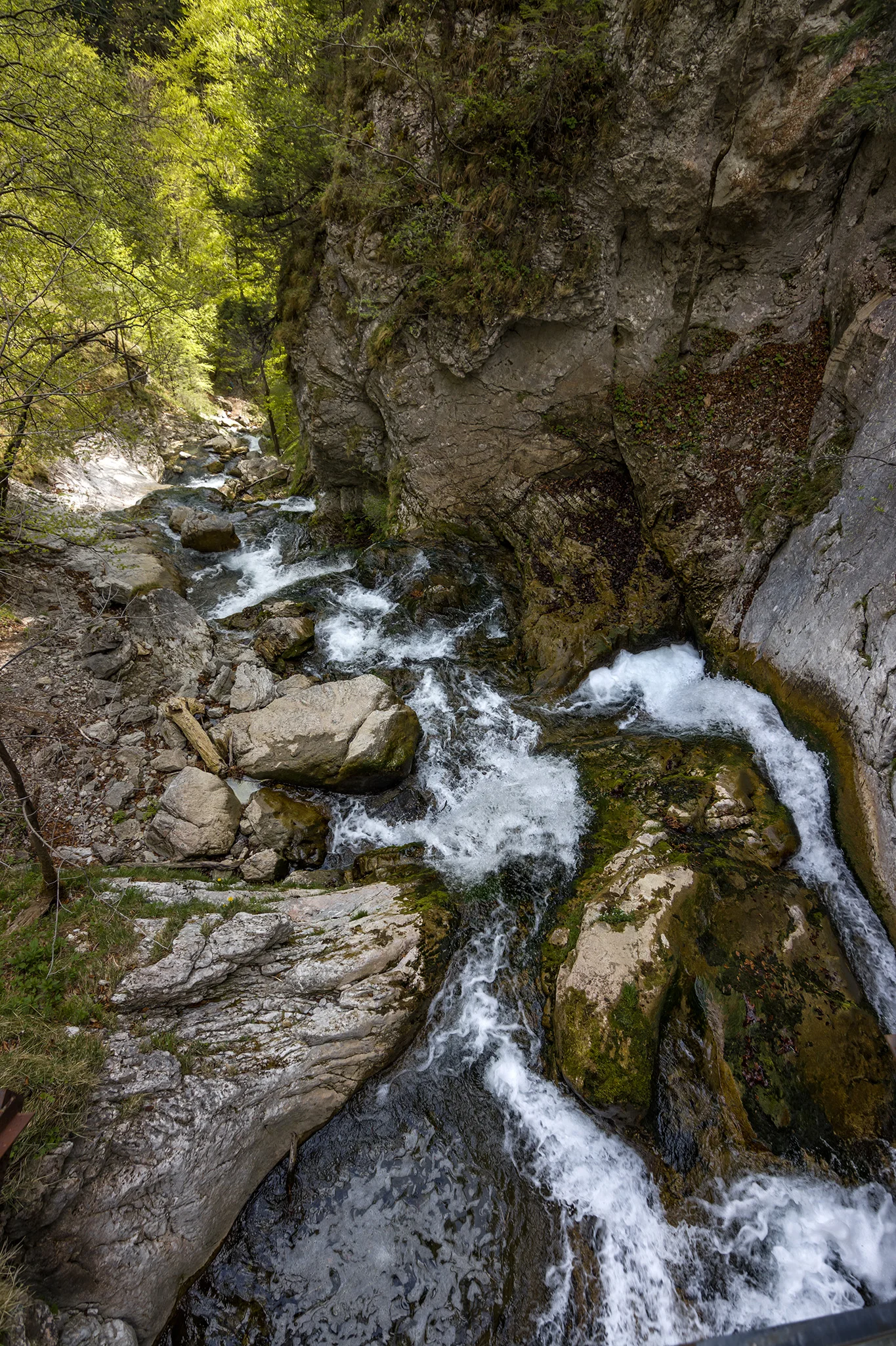 Trefflingfall