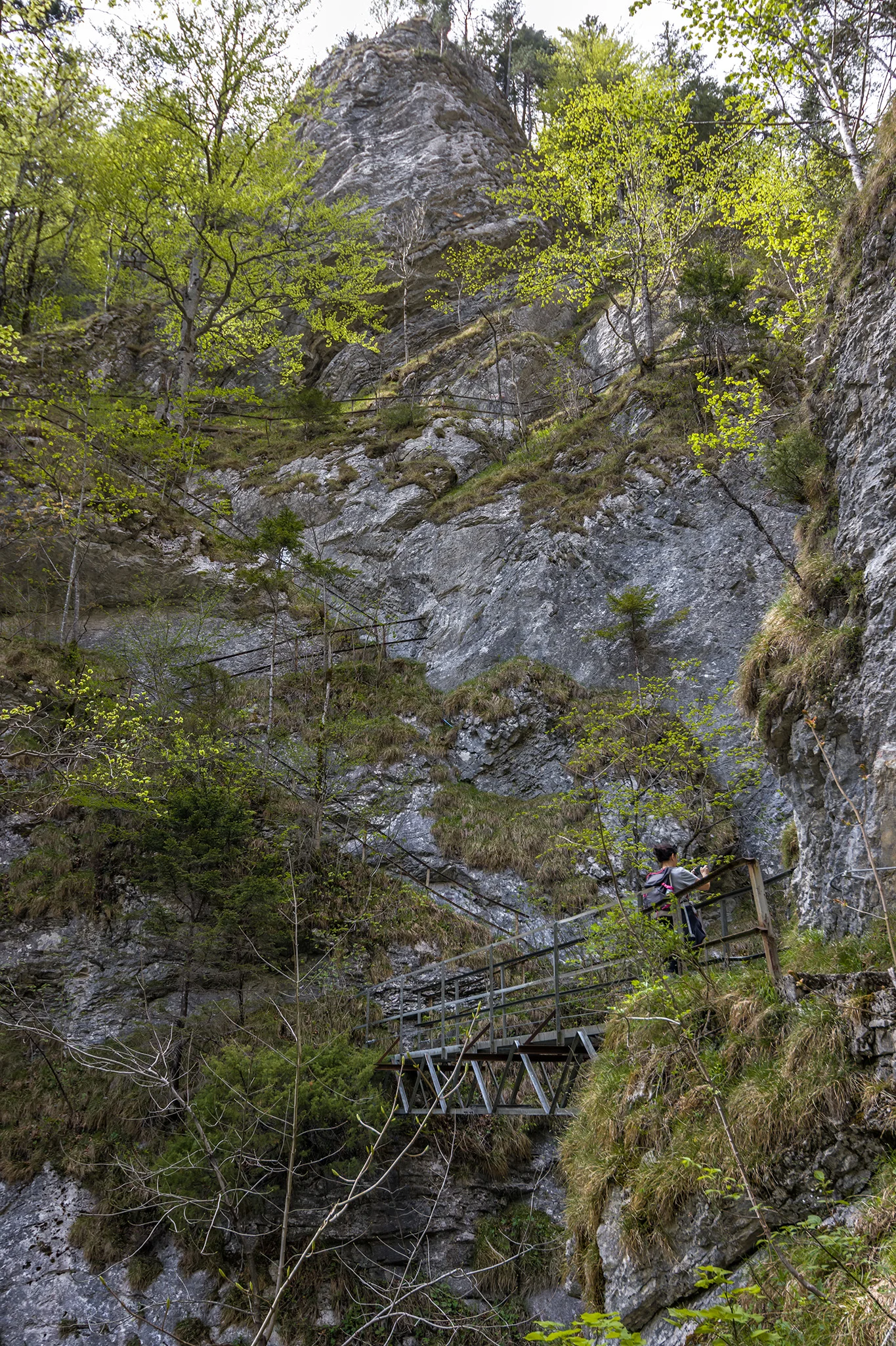 Trefflingfall