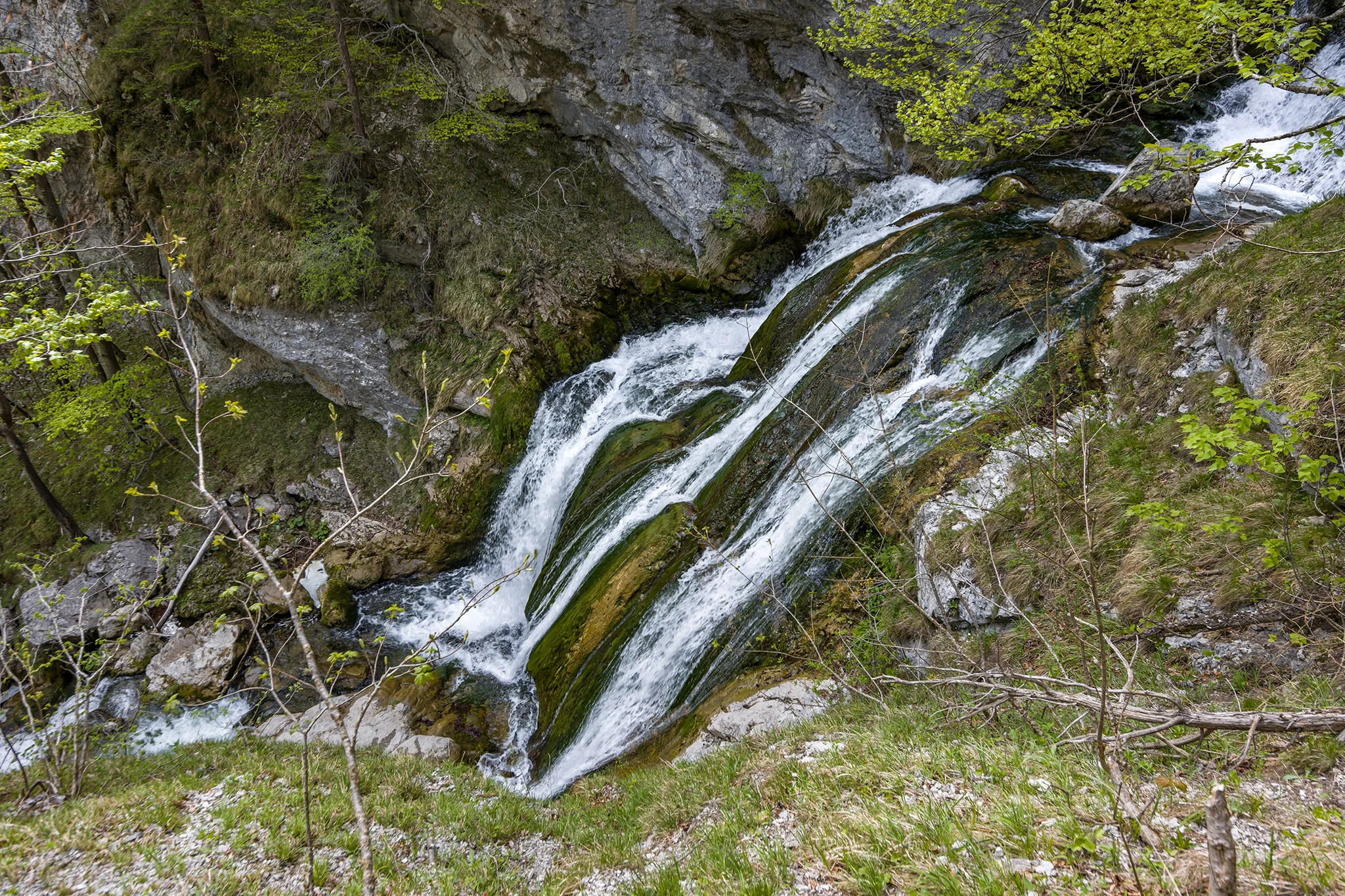 Trefflingfall