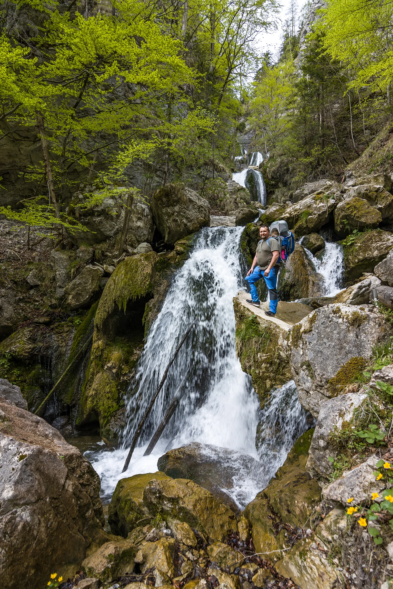 Trefflingfall