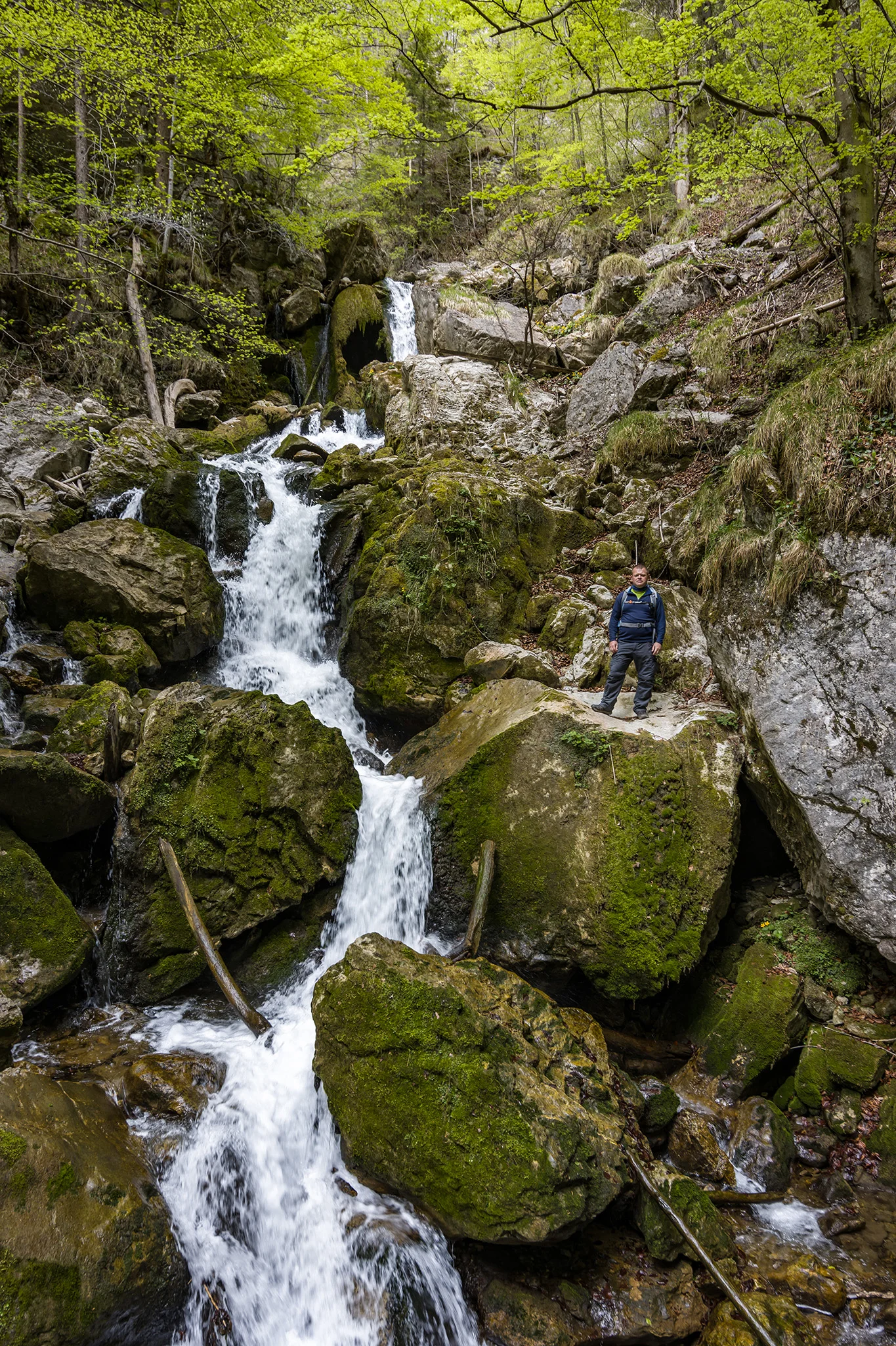 Trefflingfall