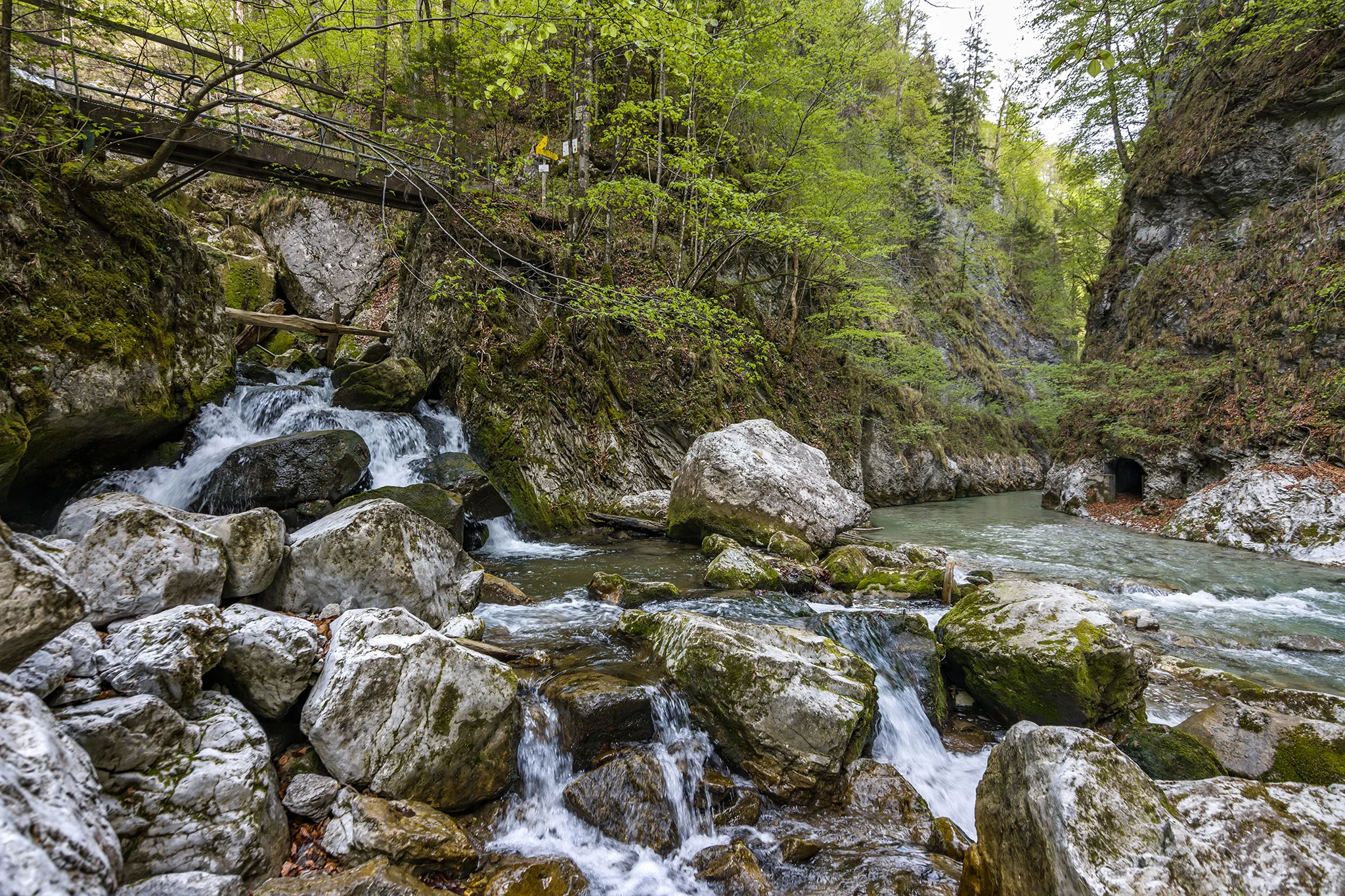 Trefflingfall