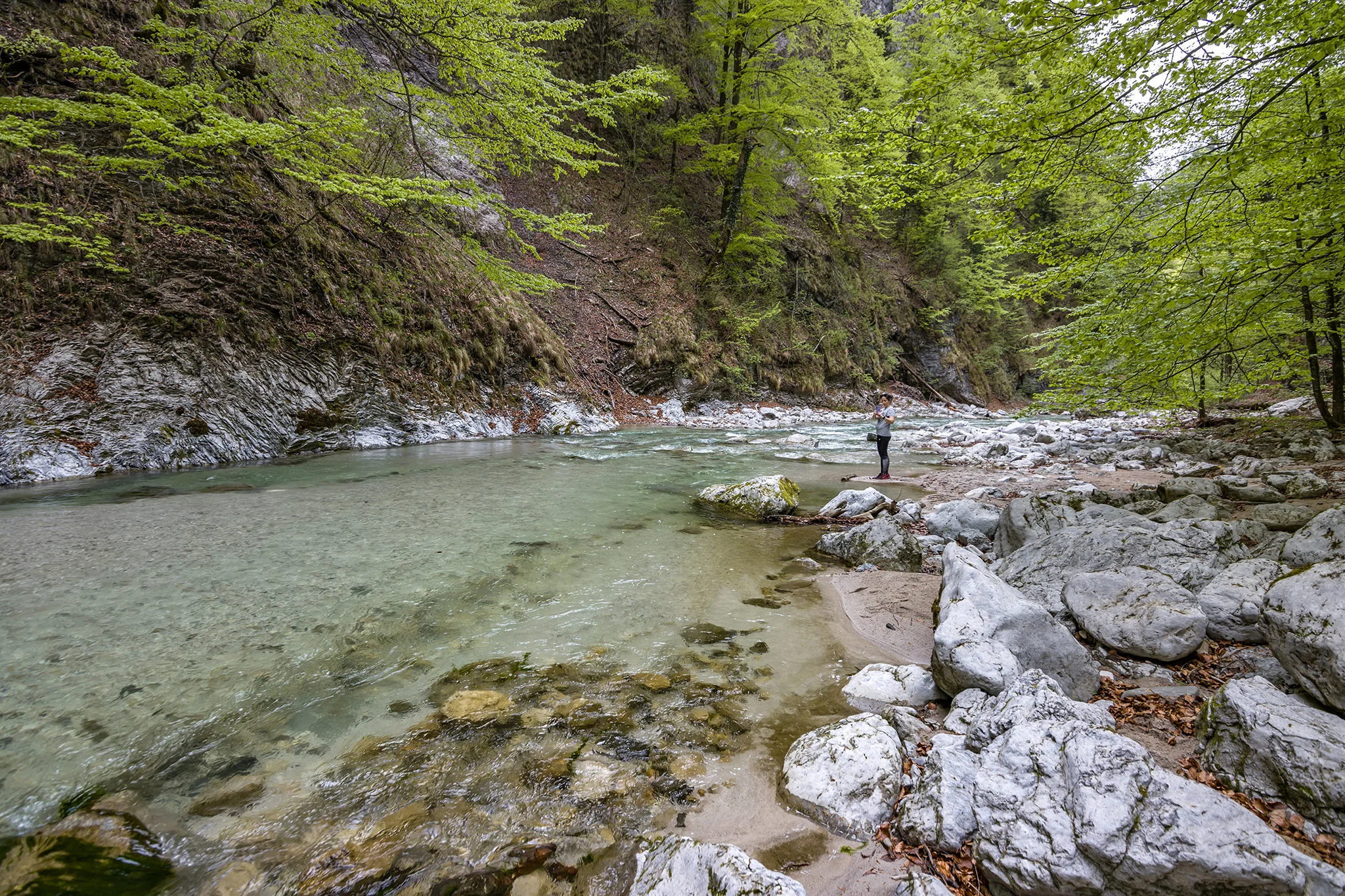 Trefflingfall
