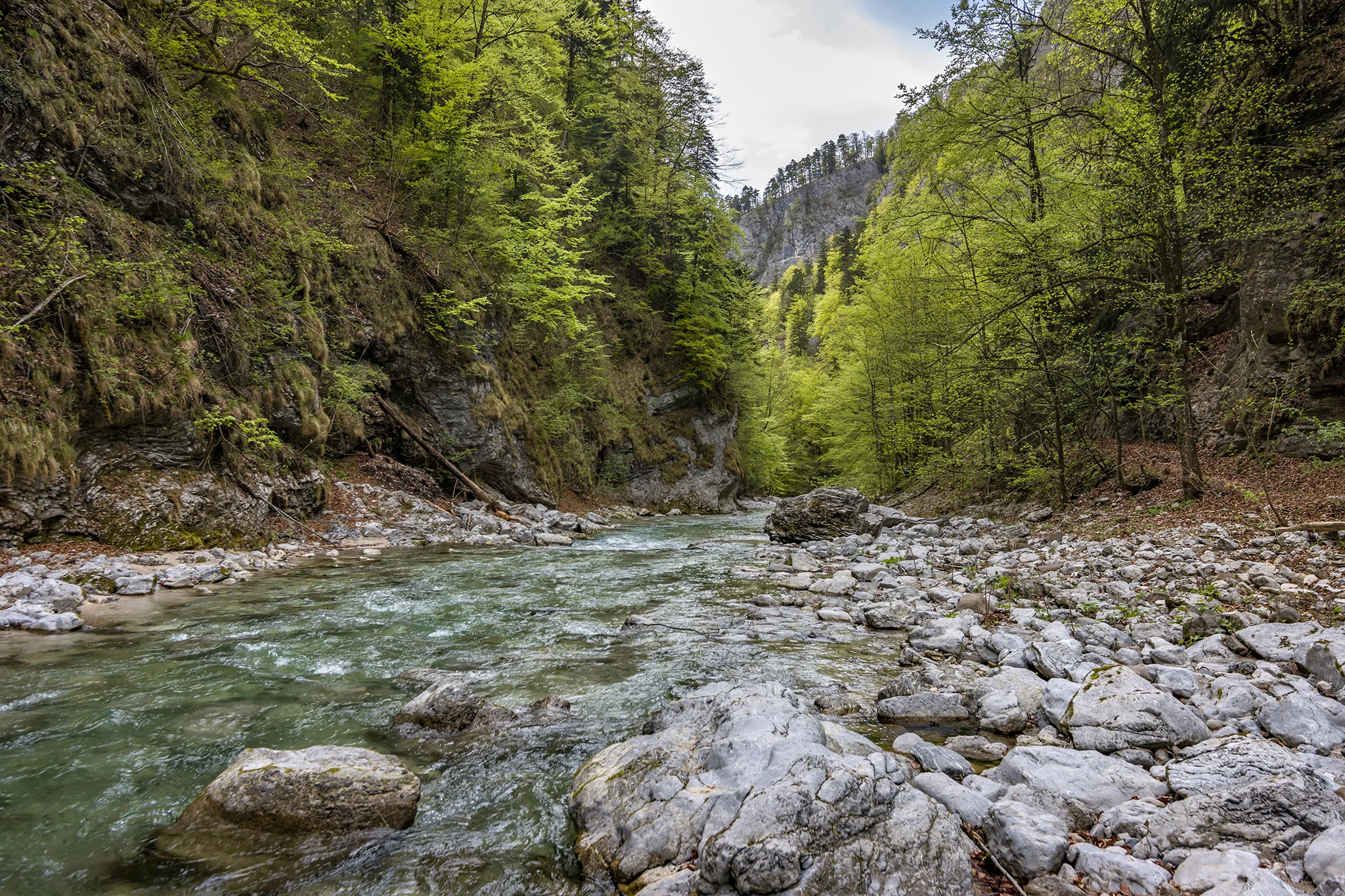 Trefflingfall